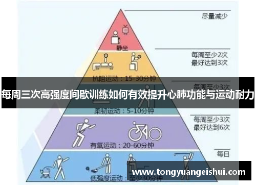 每周三次高强度间歇训练如何有效提升心肺功能与运动耐力