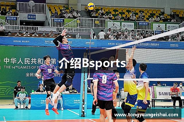 介绍Bsports